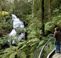 Great Otway National Park - Accommodation Sydney