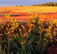 Royal Botanic Gardens Victoria Cranbourne - Sydney 4u