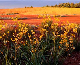 Royal Botanic Gardens Victoria Cranbourne - Sydney 4u 0