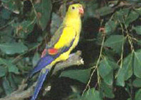 Lake Hindmarsh Reserve - Accommodation Sydney 0