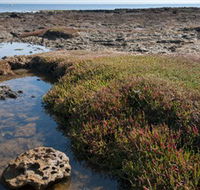 Ricketts Point Marine Sanctuary - Sydney 4u