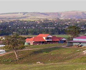 Bacchus Hill Winery - Accommodation Sydney 0