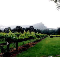 Cambewarra Estate Wines - Accommodation Sydney