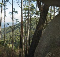 Gulaga National Park - Accommodation Sydney