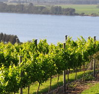 Two Figs Winery - Sydney 4u