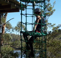 Trees Adventure Shoalhaven - Accommodation Sydney