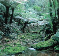 Deua National Park - Accommodation Sydney