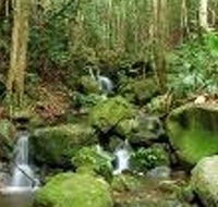 Budderoo National Park - Accommodation Sydney