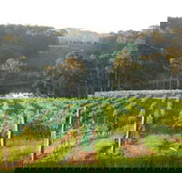 Tilba Valley Wines - Sydney Resort