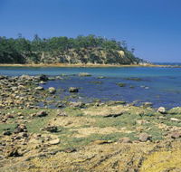 Aslings Beach - Sydney 4u