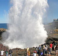 Kiama Blowhole - Accommodation Sydney