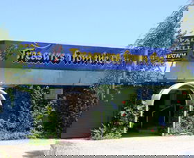 Treasures From The Deep - Opal And Shell Museum - Accommodation Sydney 0