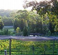 Lyrebird Ridge Organic Winery - Sydney Resort