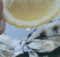 Pearly Oyster Bar and Farm - Accommodation Sydney