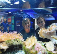 Solitary Islands Aquarium - Sydney 4u