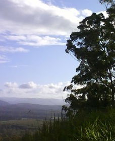 Sherwood Nature Reserve - Accommodation Sydney 0