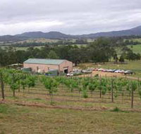 Villa d Esta Vineyard - Accommodation Sydney
