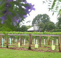 Douglas Vale Historic Homestead  Vineyard - Accommodation Sydney