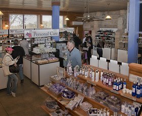 Pokolbin Estate Vineyard - Accommodation Sydney 2