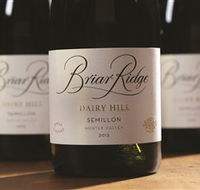 Briar Ridge Vineyard - Accommodation Sydney