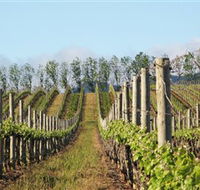 Philip Shaw Wines - Accommodation Sydney