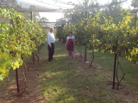 Holland Wines - Accommodation Sydney 8