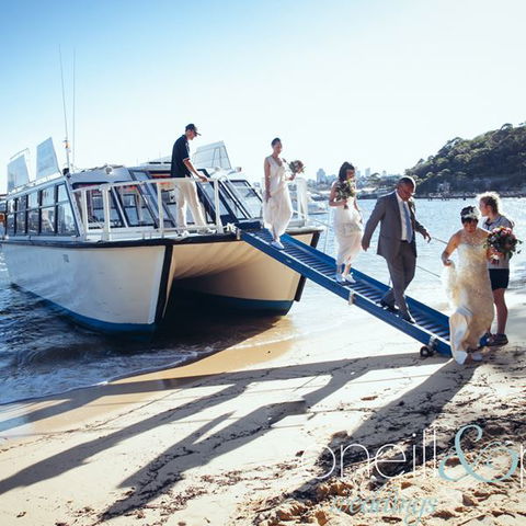 H2O Maxi Taxis - Accommodation Sydney 3