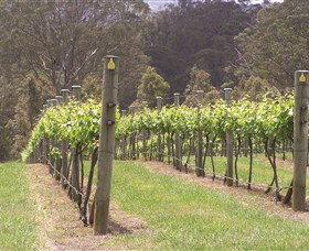 Diamond Creek Estate Cellar Door - Accommodation Sydney 2