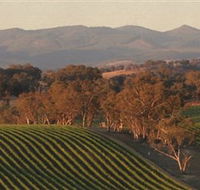 Angullong Wines - Accommodation Sydney