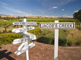 Jacob's Creek Vineyard Tour - Accommodation Sydney 1