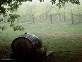 Arranmore Wines - Accommodation Sydney 2