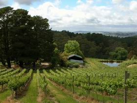 Arranmore Wines - Accommodation Sydney 0