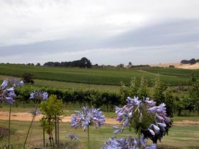 Mount Jagged Wines - Sydney 4u 1