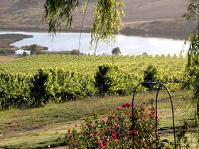 Mount Jagged Wines - Sydney 4u 2