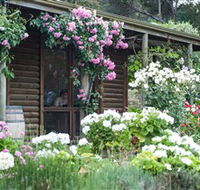 Lavina Wines - Accommodation Sydney