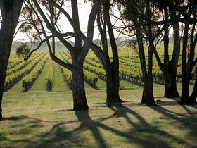 Henry's Drive Vignerons - Sydney Resort 0
