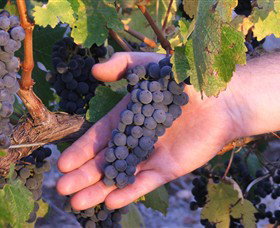 Eddington VIC Accommodation Sydney