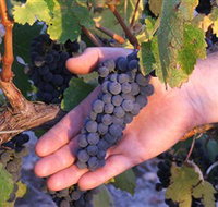 Eagles Rise Wine - Accommodation Sydney