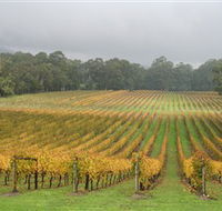 Boat O'Craigo Wines - Accommodation Sydney