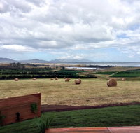 The Hazards Vineyard - Devil's Corner - Accommodation Sydney