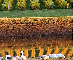 Pipers Brook TAS Sydney Resort