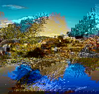 Loira Vines - Accommodation Sydney