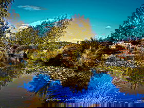 Loira Vines - Accommodation Sydney 0