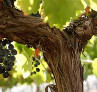 Blackjack Vineyards - Accommodation Sydney