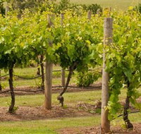Mt Coghill Vineyard - Accommodation Sydney