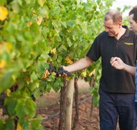 Fratin Brothers Vineyard - Accommodation Sydney