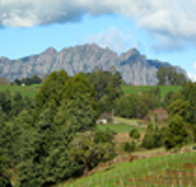 Lake Barrington Vineyard - Accommodation Sydney