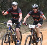 Trailhead Bike Co. - Accommodation Sydney