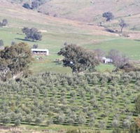 Wymah Organic Olives and Lambs - Sydney 4u