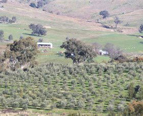 Wymah Organic Olives And Lambs - Sydney 4u 0